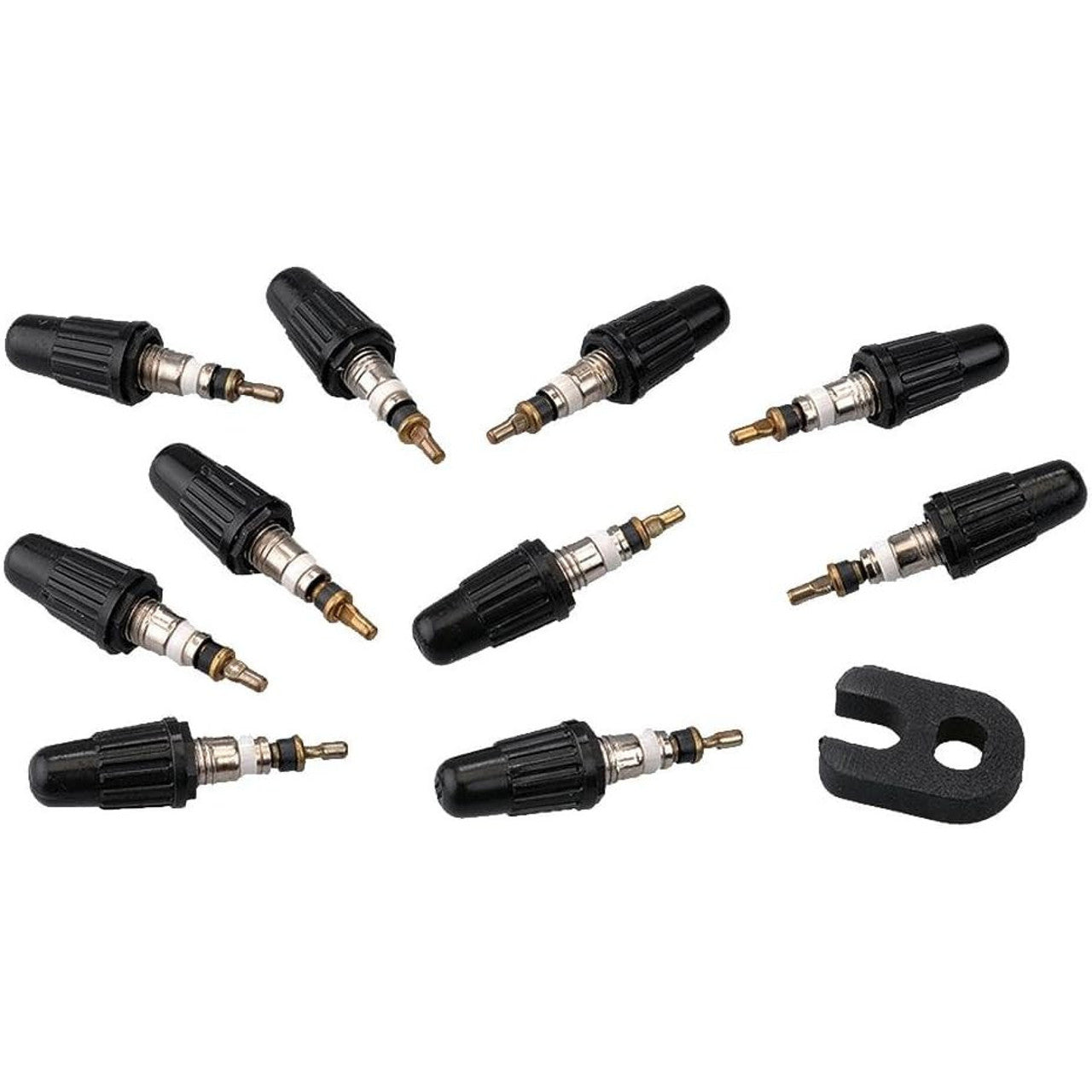 Vittoria Valve Core Presta 25 Pack Inc Tool