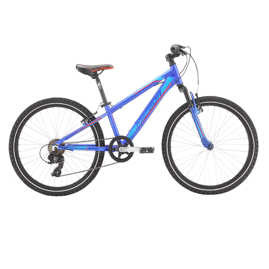 Merida Matts J24 Kids Bike (2021)