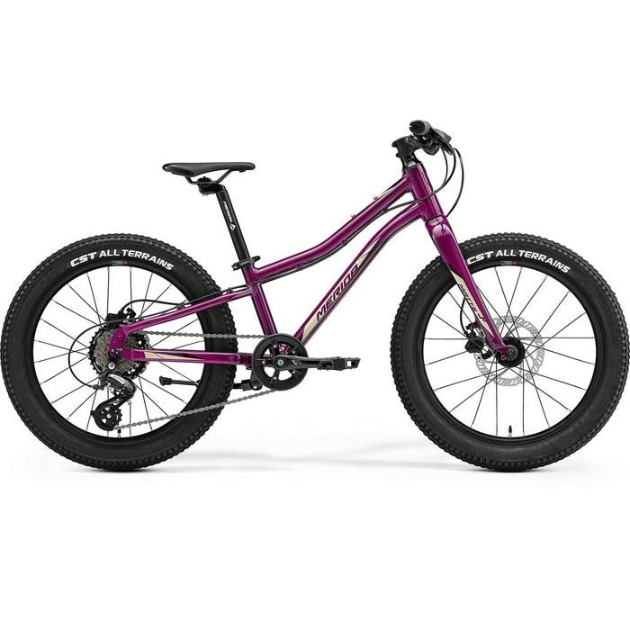 Merida Matts J20+ Kids Bike